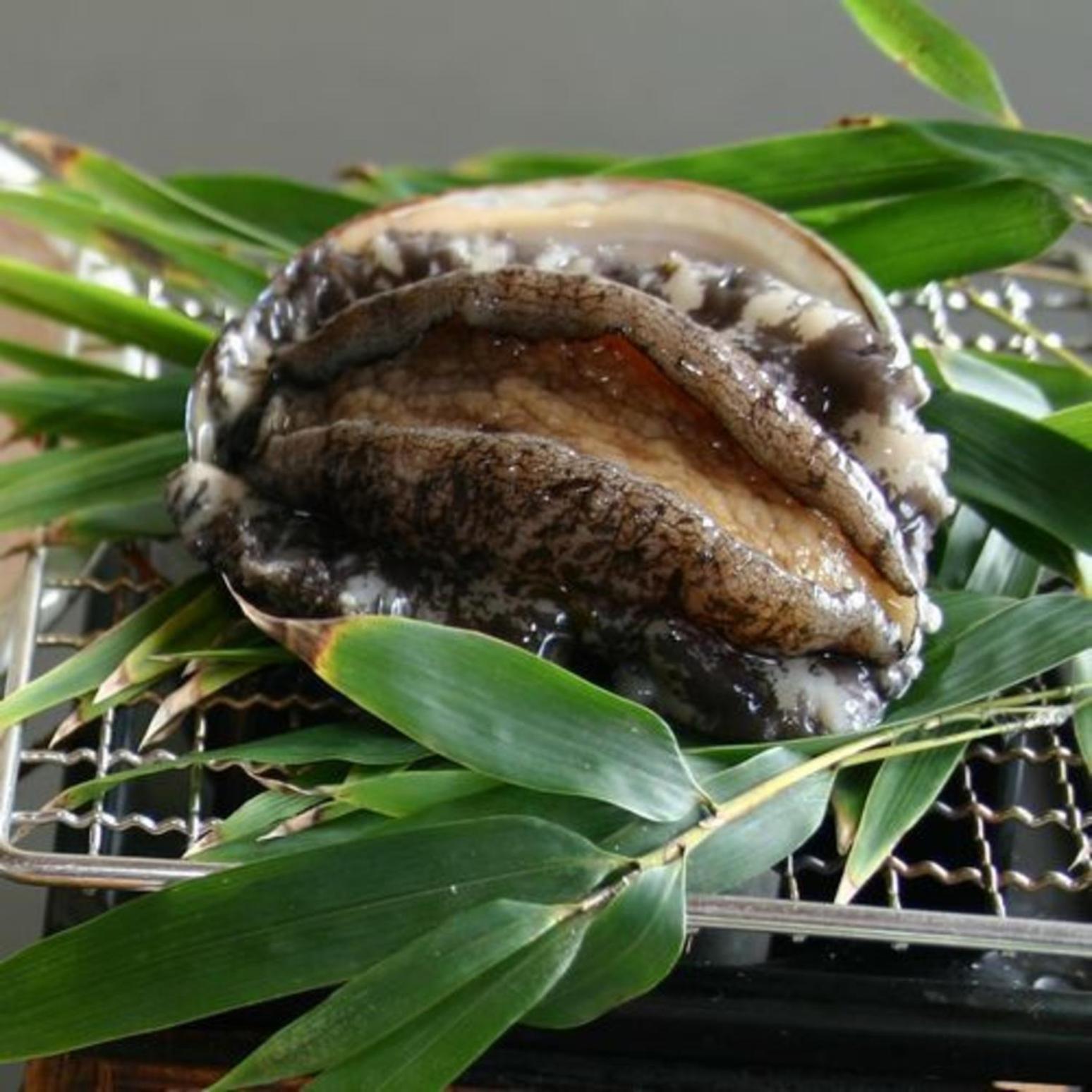Syukaen Yunohanazen 아타미 외부 사진